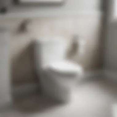 Sleek White Toilet with Dual Flush