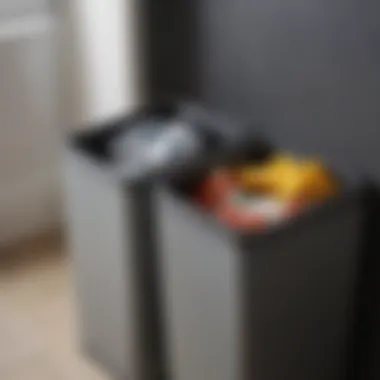 Dual Compartment Trash Can for Recycling