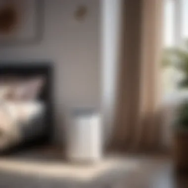 Smart Features Portable Air Conditioner