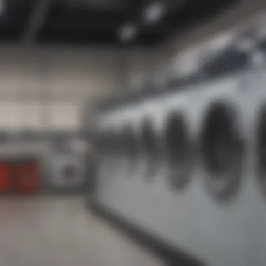 Revolutionary Smart Pricing Model in Laundry Industry Smart Laundry Pricing Model
