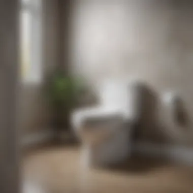 Future-Forward Comfort: American Standard Toilet Smart Toilet by American Standard