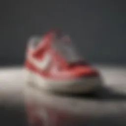 Variety of sneaker stain removers