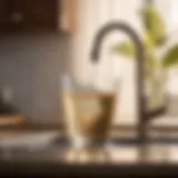 Sophisticated Filtration Technology