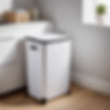 Space-saving Capabilities Space-saving Capabilities of Songmics Laundry Hamper