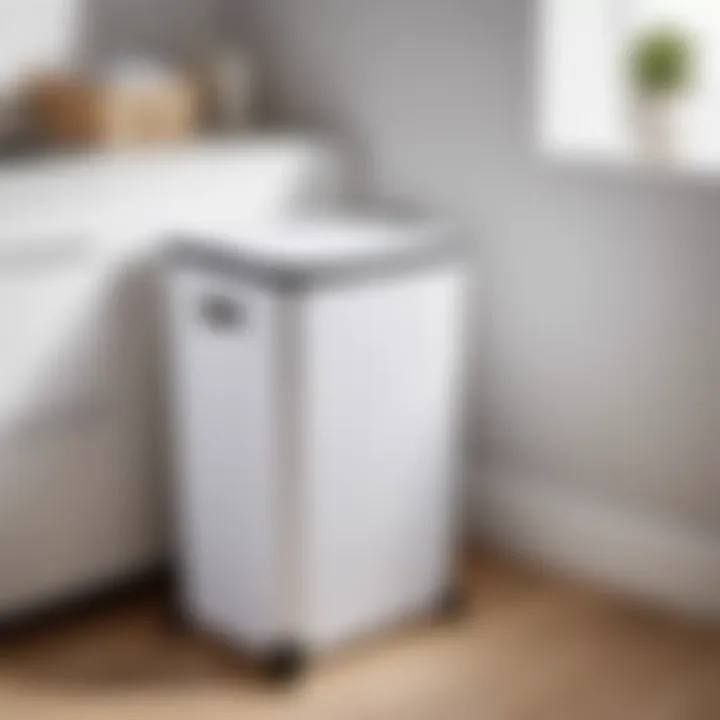 Space-saving Capabilities Space-saving Capabilities of Songmics Laundry Hamper