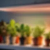Illustration of spectrum options for grow light bulbs
