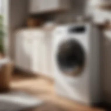 Mastering Stain Removal in Laundry Stain remover products for effective laundry stain removal