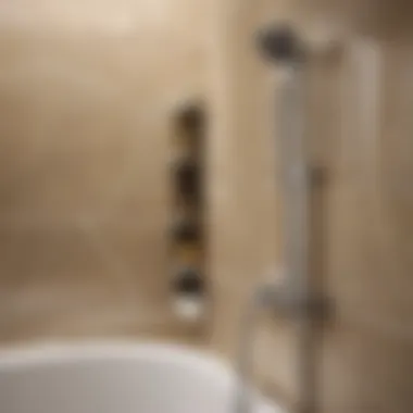 Detail of Stylish Bath and Shower Kit Fixtures Close-up of Sterling Accord Bath and Shower Kit's sleek fixtures