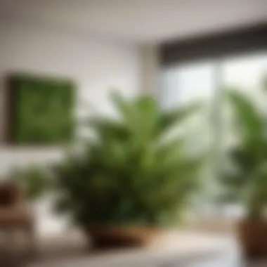 Stress-Reducing Indoor Plant Oasis Stress-Reducing Indoor Plant Oasis