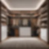 Stylish Bedroom Closet Organizer