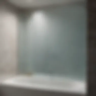 Stylish Frosted Glass Over Bath Tub Shower Door