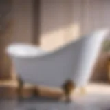 Stylish and Functional Bathtub Chair