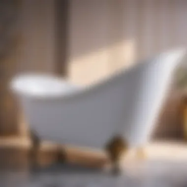 Stylish and Functional Bathtub Chair Stylish and Functional Bathtub Chair