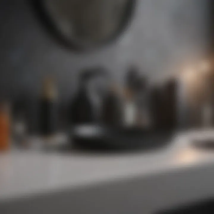 Stylish Matte Black Bathroom Accessories
