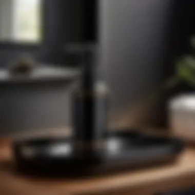 Stylish Moen black soap dispenser and tray on a countertop