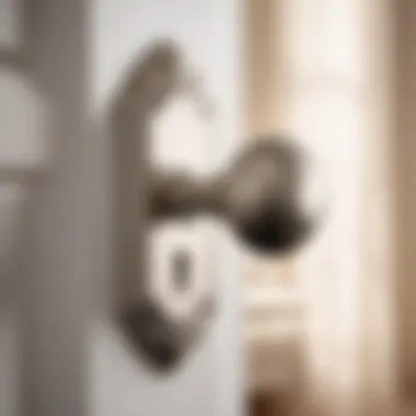 Pairing Style with Functionality Stylish Satin Nickel Bedroom Door Knob Pair