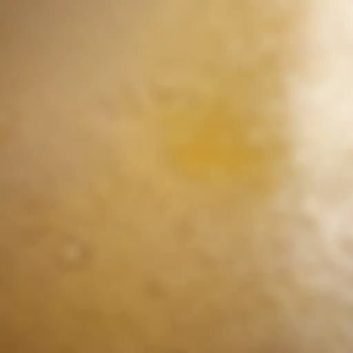 Subtle Elegance Bathroom Paint Sample