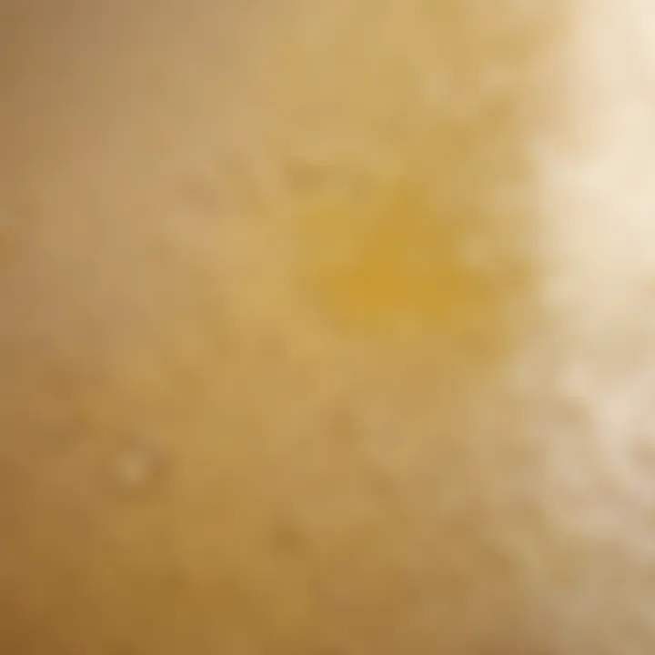 Subtle Elegance Bathroom Paint Sample