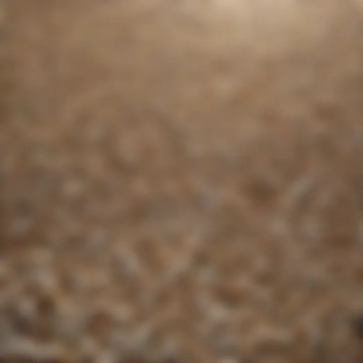 Sun-kissed Pebble Flooring