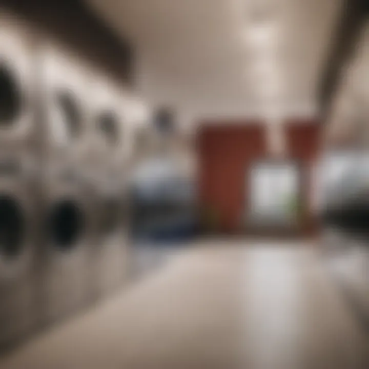 Revolutionary Technology in Laundry Services Technology in Laundry Services