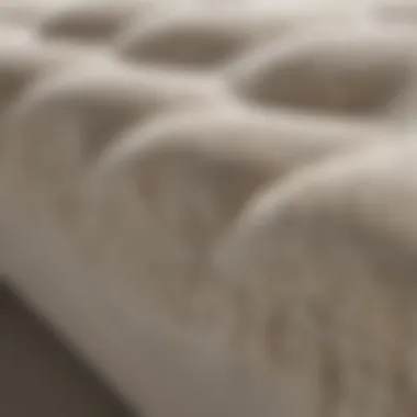 The Unique Texture of Tempur Material Close-up of Tempur material showcasing its texture and composition