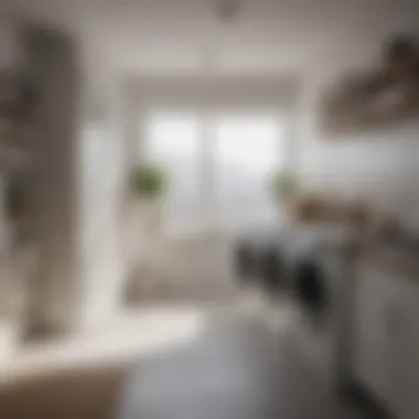 Maximizing Laundry Efficiency An organized laundry room equipped with tips for efficiency
