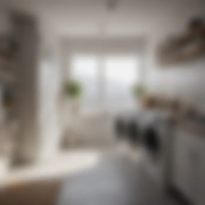 Maximizing Laundry Efficiency An organized laundry room equipped with tips for efficiency