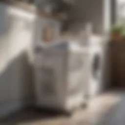 The Functional Design of a Rolling Laundry Basket with Hanging Bar Introduction