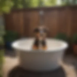 A durable dog wash bathtub in a backyard setting