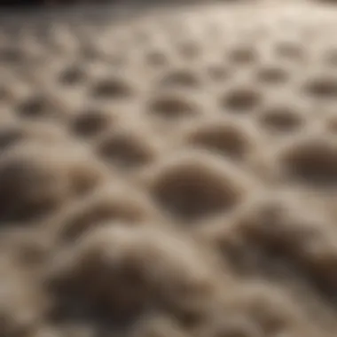 Variety of materials used for fluffy carpets