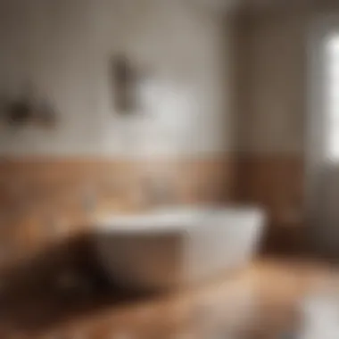 Maintaining Bath Tiles Maintenance tips for keeping tiles around the bath pristine