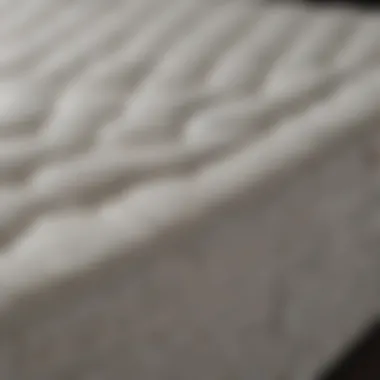 Mattress Materials and Benefits Infographic comparing mattress materials and their benefits