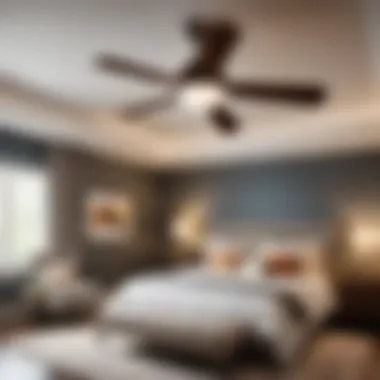 Propeller Ceiling Fan Fixture