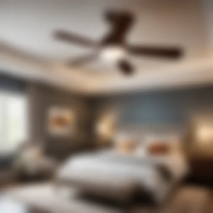 Propeller Ceiling Fan Fixture