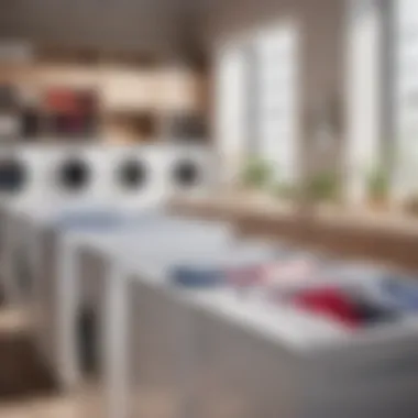 Advanced Sorting Techniques Smart laundry sorting system