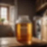 Transformative Vinegar in Laundry Vinegar in Laundry - Natural Odor Eliminator