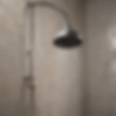 Keeping Your Shower System in Top Shape Maintenance tips for newly installed shower system
