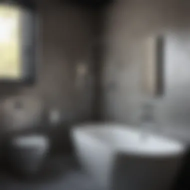 Essential Plumbing Features Bathroom plumbing installation in garage setting