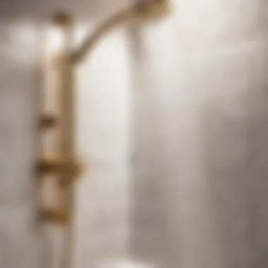 Luxurious Triangle Bathroom Shower