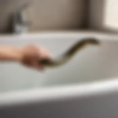 Illustration of using a drain snake in bathtub