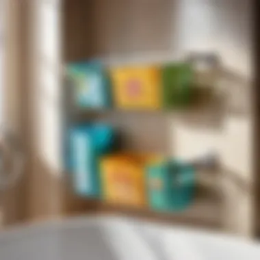 Hanging Organizer for Bath Toys
