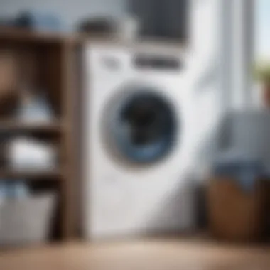 Cutting-Edge Design Elements of Bosch Laundry Washer Cutting-Edge Design Elements of Bosch Laundry Washer