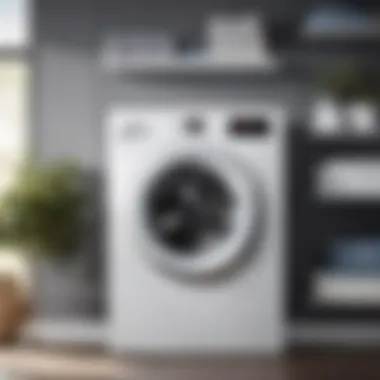 Sleek Bosch Laundry Washer in Modern Home Setting Sleek Bosch Laundry Washer in Modern Home Setting