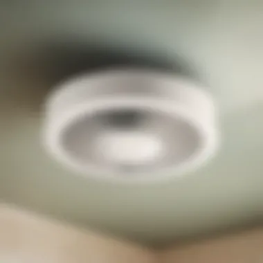 Energy-Efficient Large Bathroom Exhaust Fan
