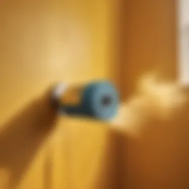 Precision Painting with Roller Technique Bathroom Paint Roller Technique