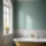 Elegant Bathroom Paint Swatch