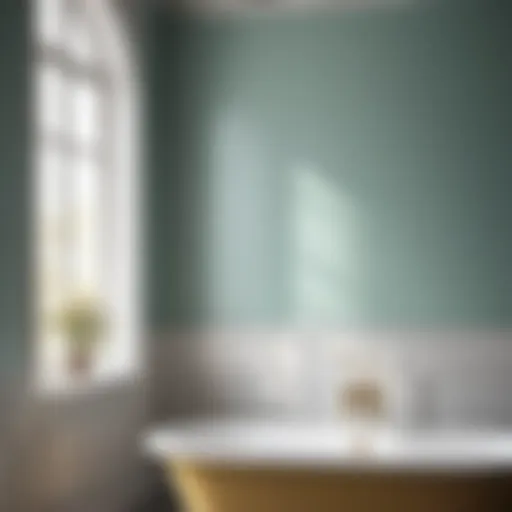 Elegant Bathroom Paint Swatch