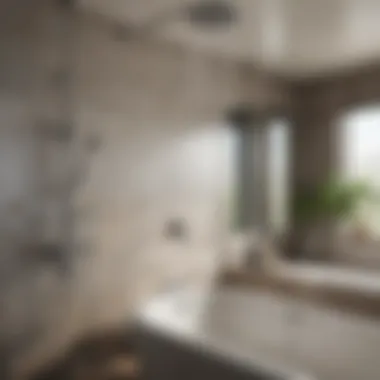 Contemporary Dual Showerheads for Spa Experience Contemporary dual showerheads for a spa experience in the comfort of home