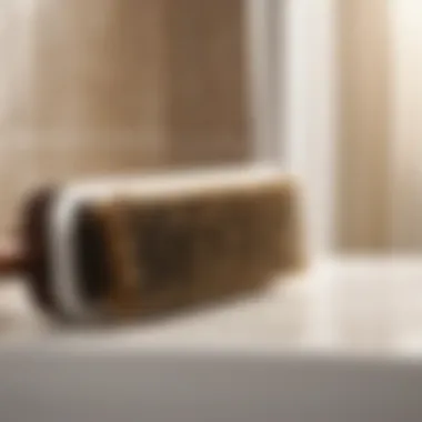 Effective Scrubbing Brush for Bathroom Surfaces Scrubbing Brush for Bathroom Cleaning
