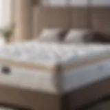 Innovative Mattress Construction Innovative Mattress Construction